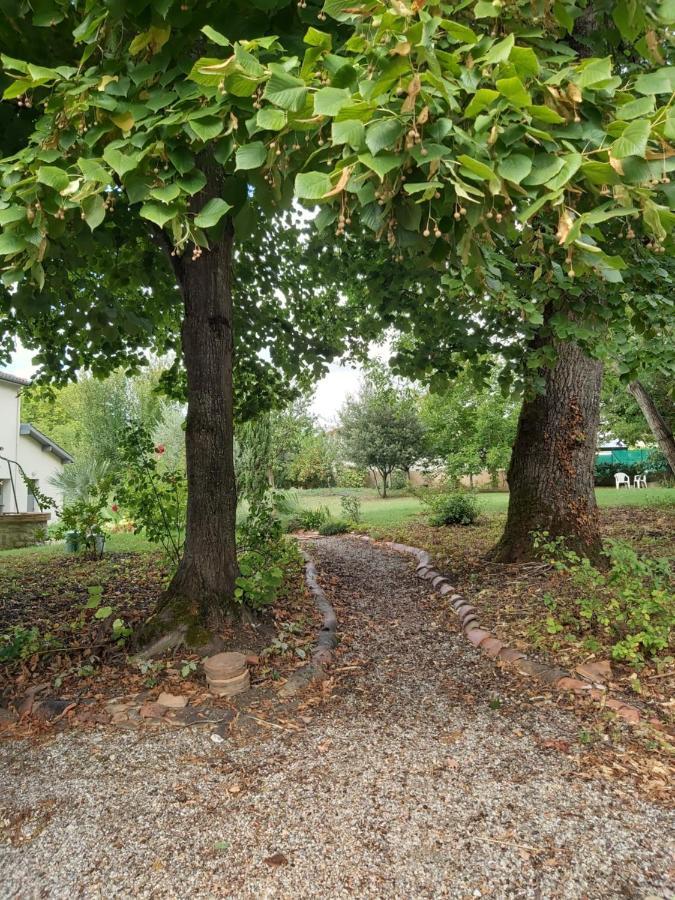O Nature Cheris Mes Voeux Avant Qu'Ils S'Enfuient Francescas Bagian luar foto